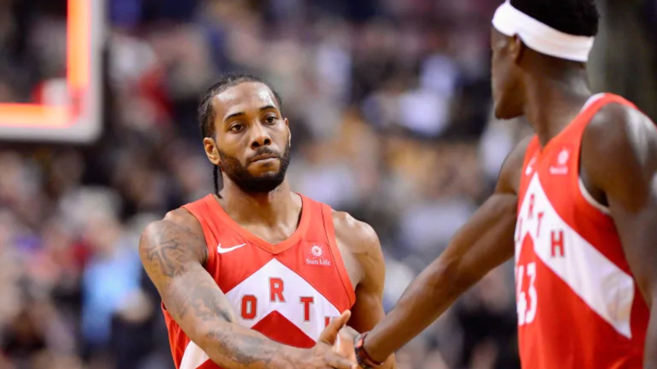 金年会平台-猛龙队表现出色，球迷热情支持无限的简单介绍