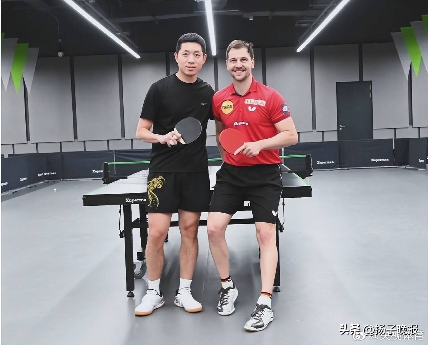 英国乒乓球队绝杀法国乒乓球队，波尔制霸全场的简单介绍