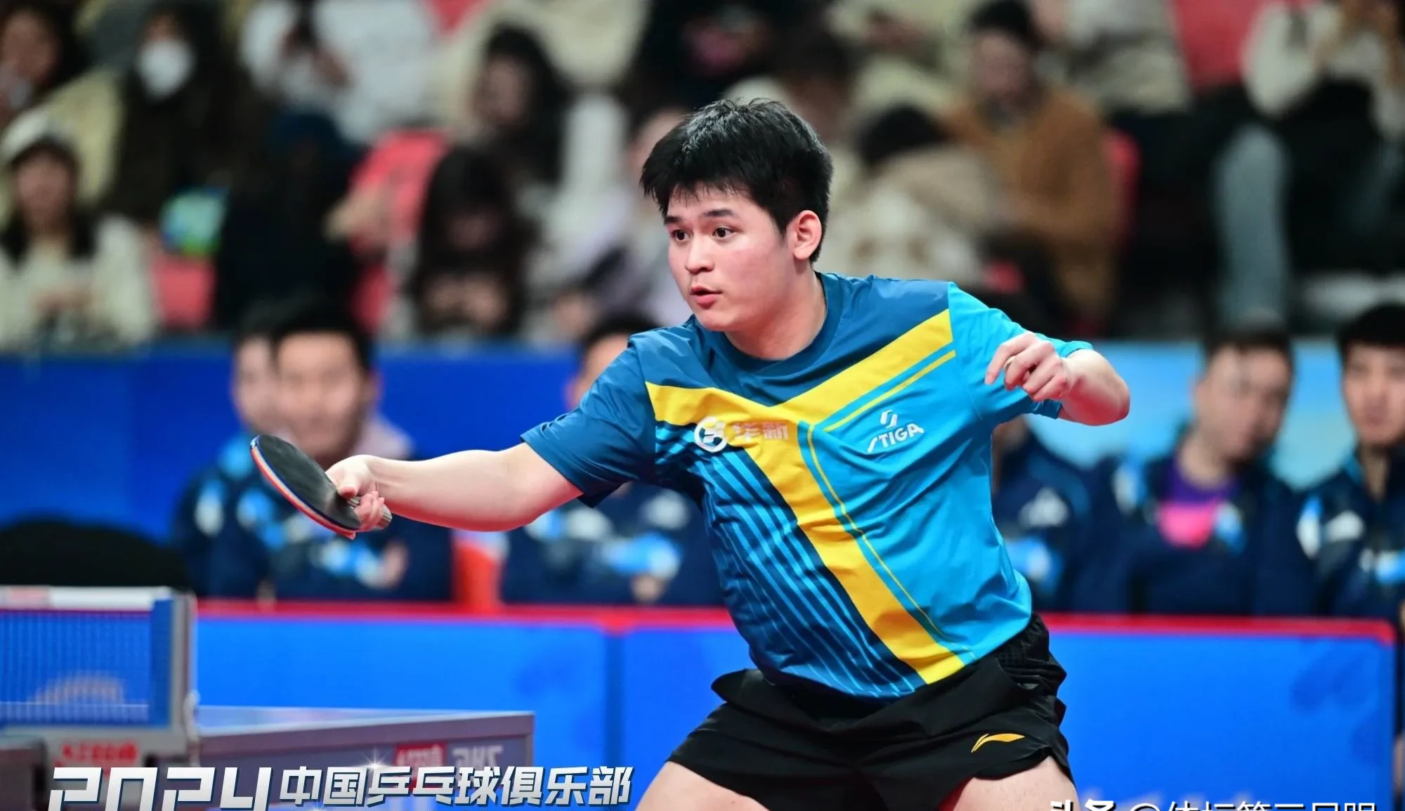 法国乒乓球队爆冷韩国乒乓球队，奥恰洛夫爆发神勇的简单介绍