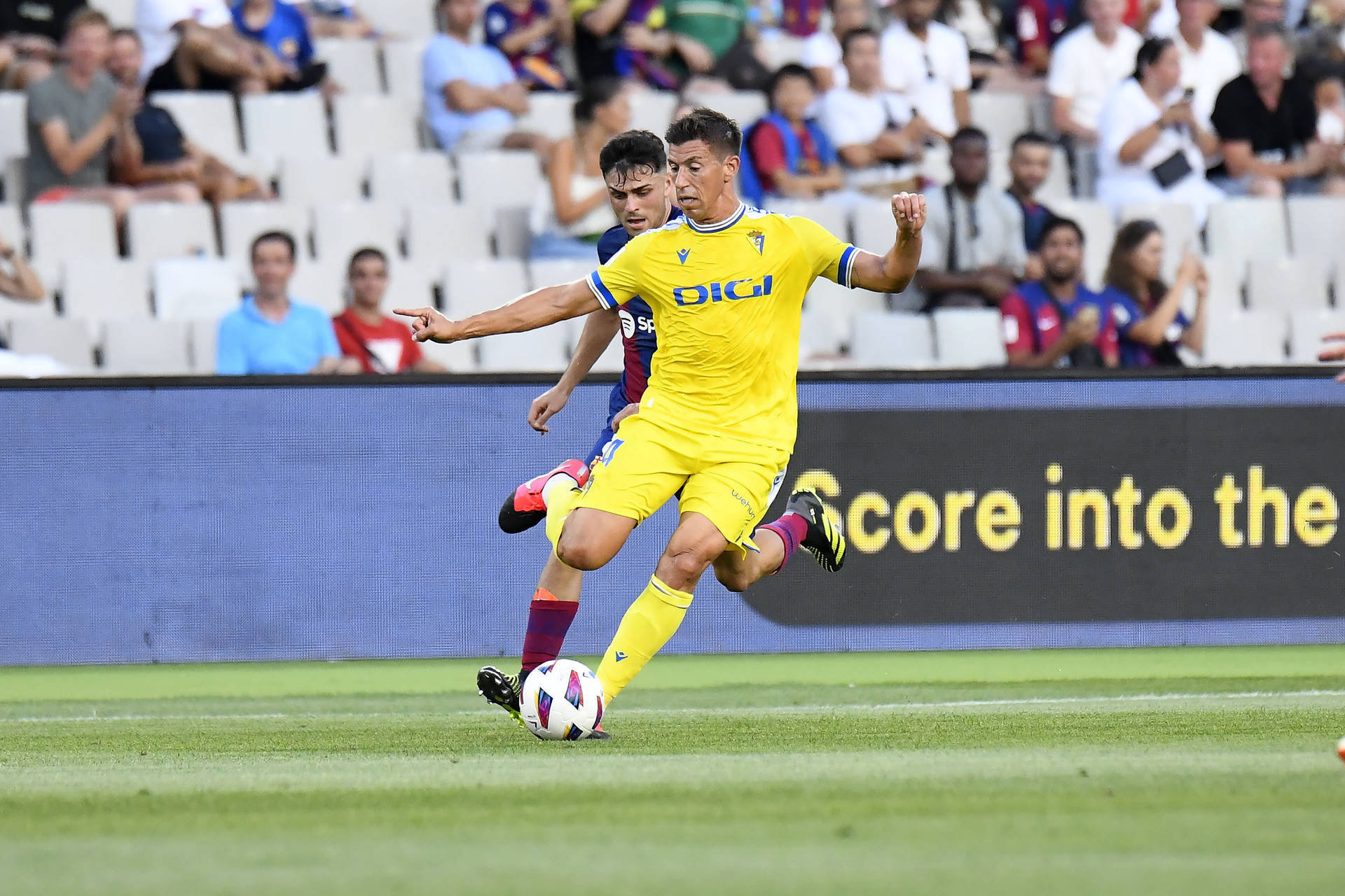 博洛尼亚球迷为球队连败喊冤