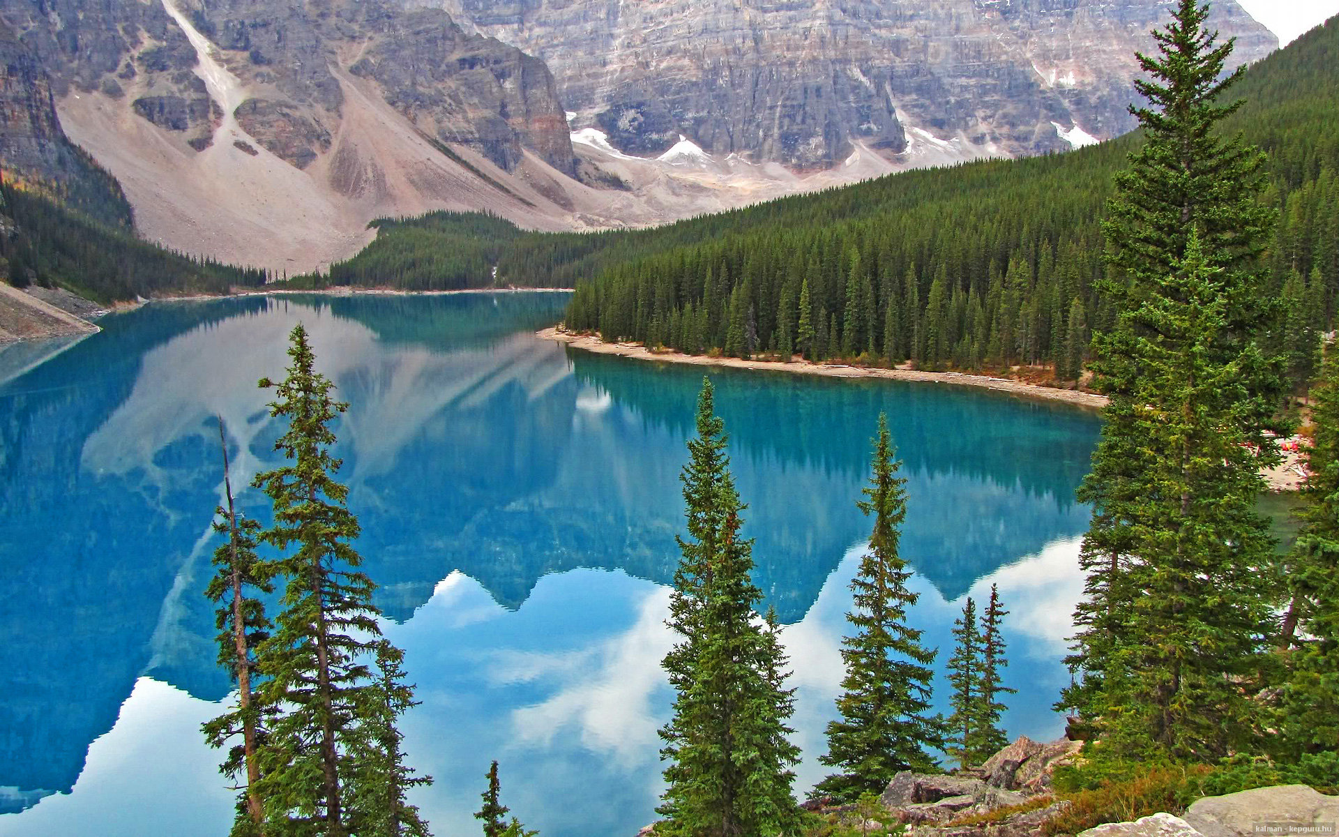 金年会体育-意甲焦点战中的硬仗哲学，黄蜂取胜森林狼的启示