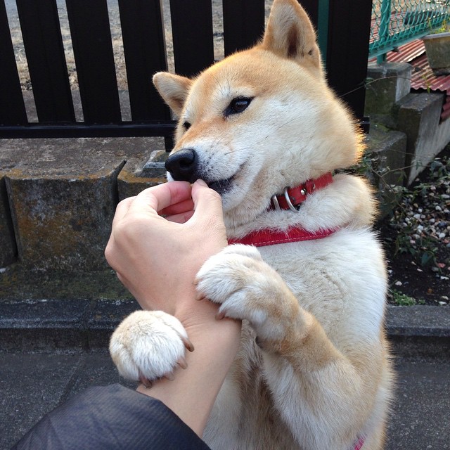 奥运前哨战,76人粉碎国王,球星命运的暗涌与荣光