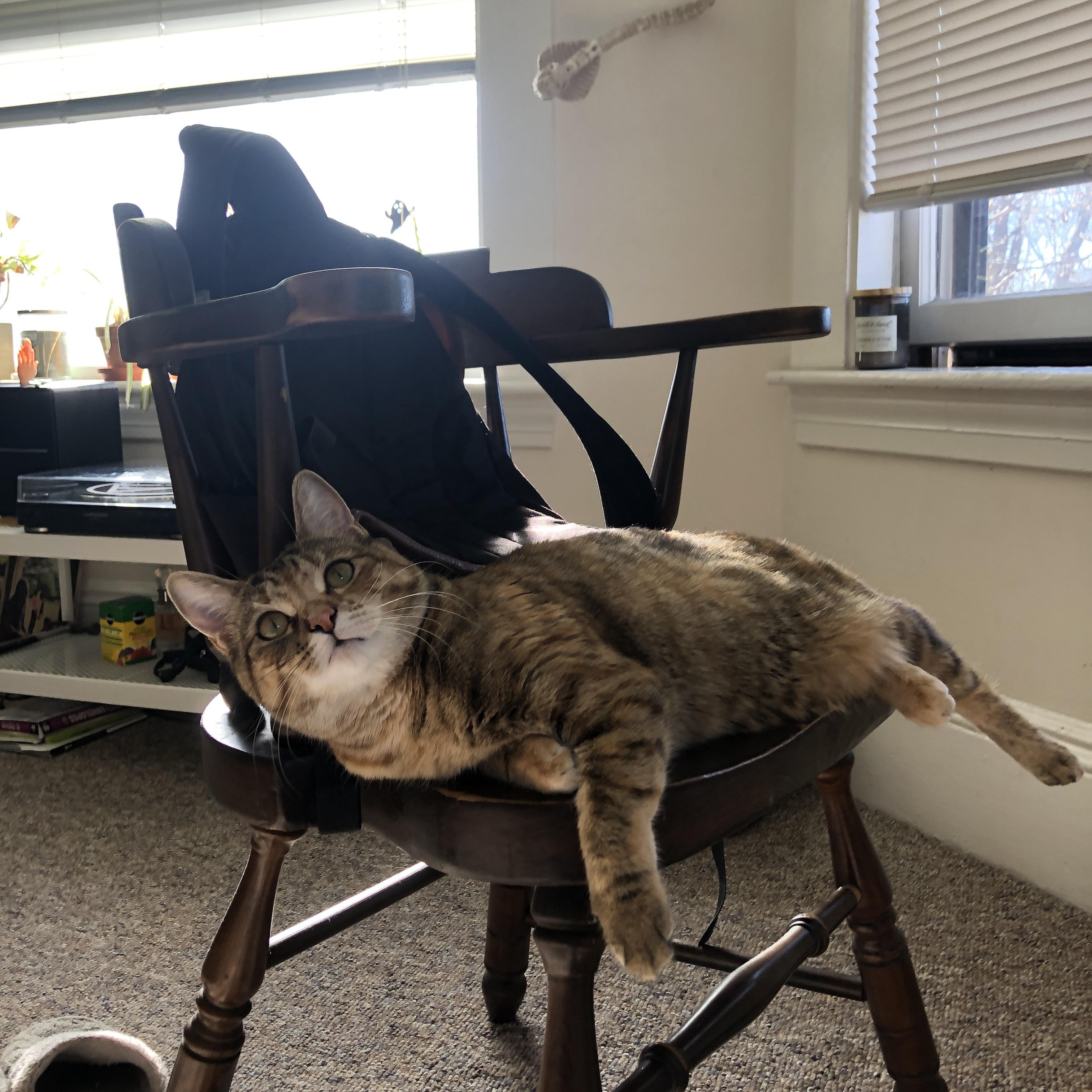 利拉德关键先生闪耀,爵士狂胜掘金展团队雄风