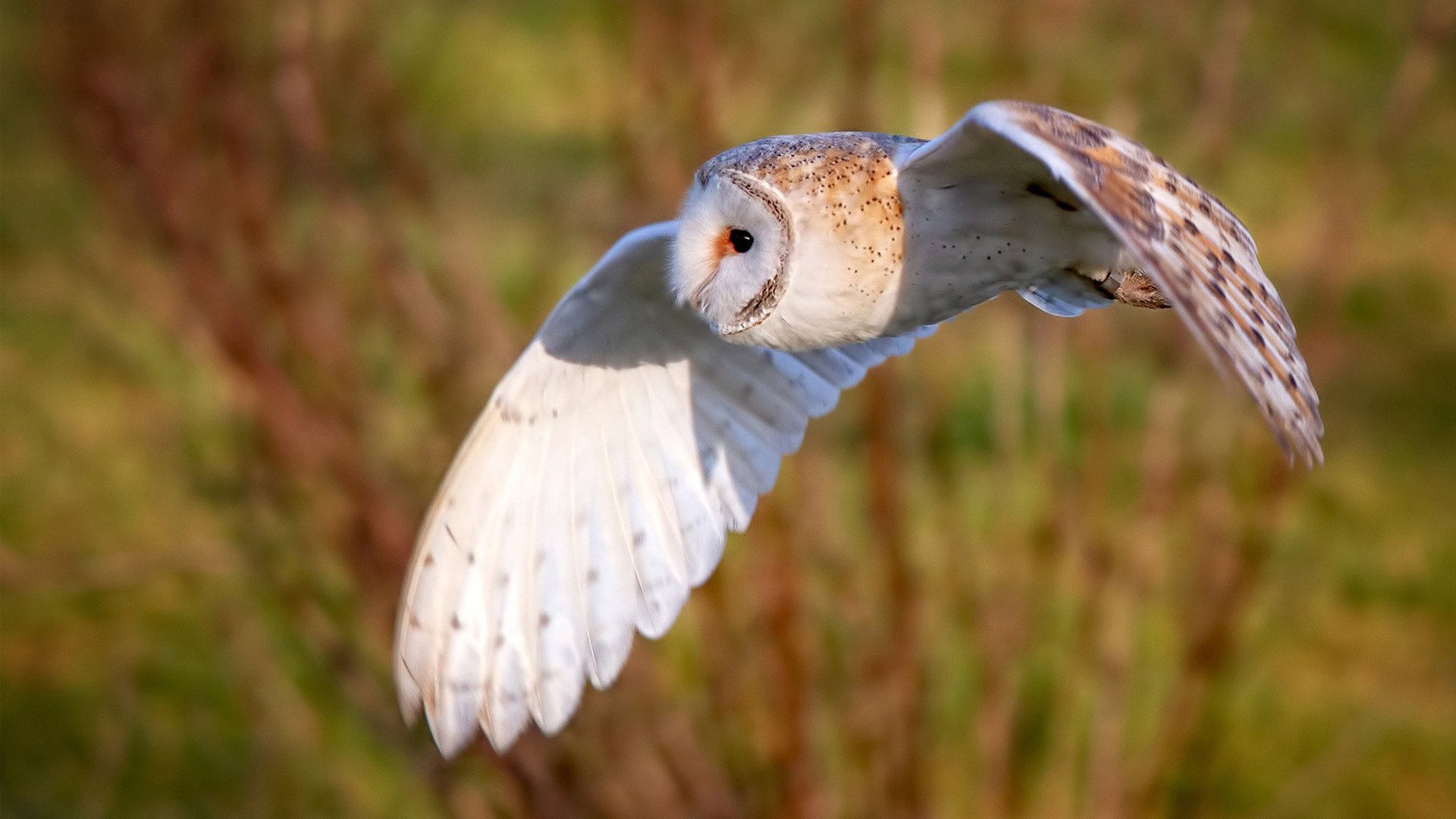 奥运周期关键战之夜，恩比德末节接管比赛，铸就传奇时刻