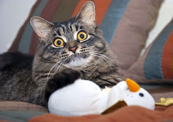 jinnianhui-加维成为全场焦点,波兰掀翻比利亚雷亚尔