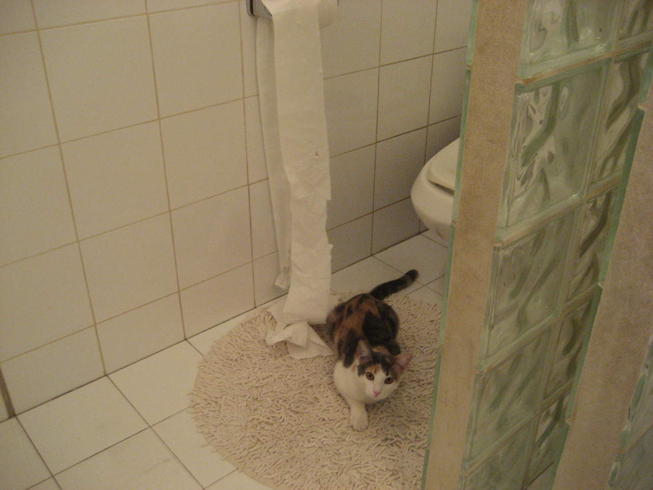 金年会官网-欧文数据全面爆炸,热火巅峰对决险胜广东队