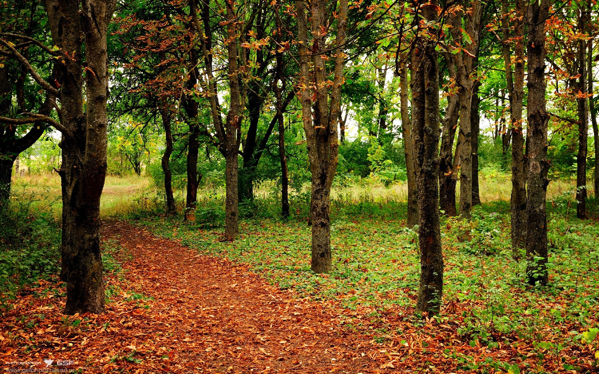 步行者险胜爵士！巅峰对决上演，布伦森封神之夜成关键先生