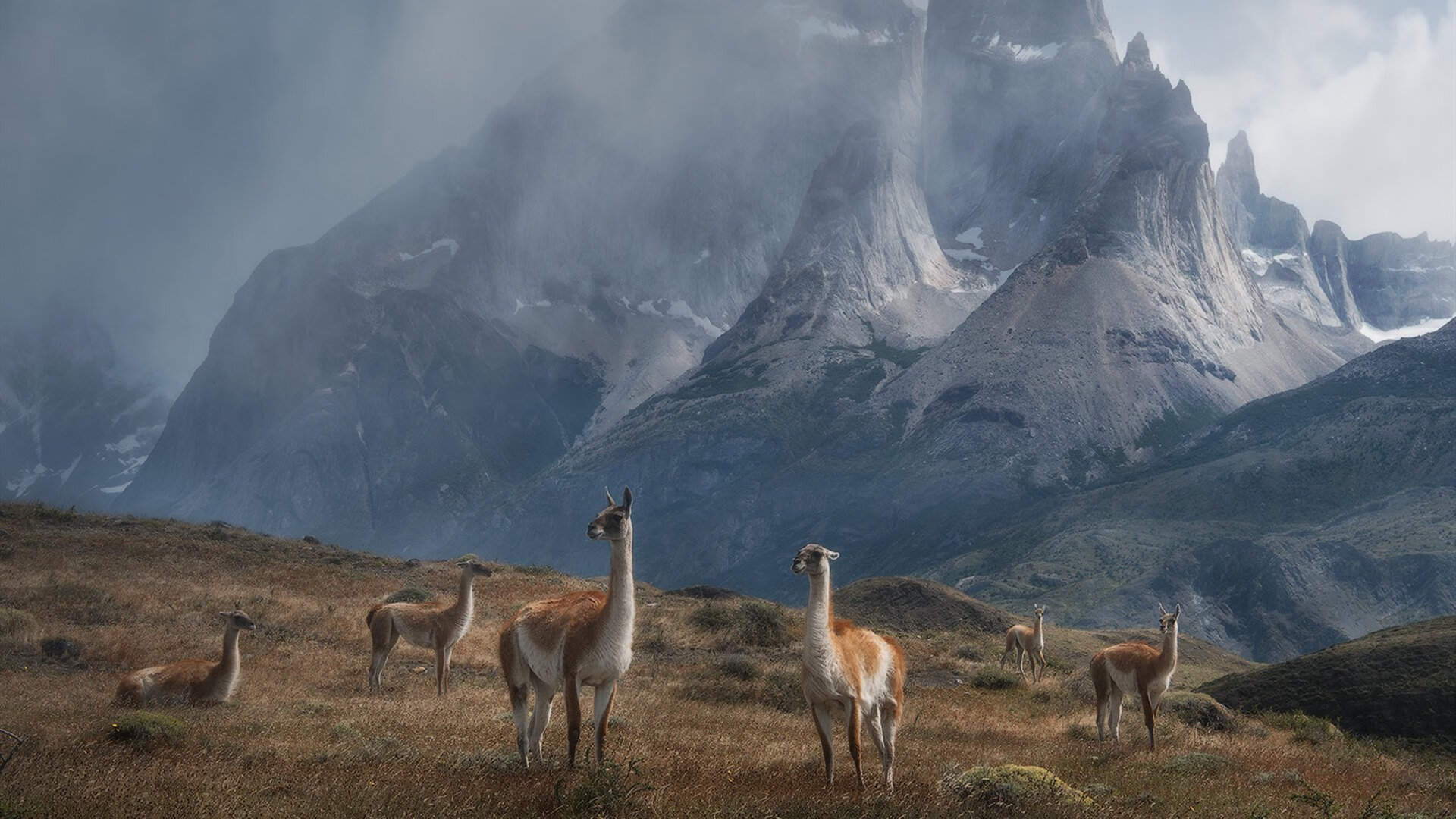直取孟菲斯,乔治末节神兵天降,太阳三军用命速胜灰熊