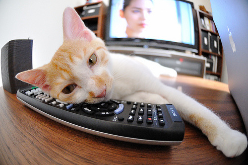 金年会体育-斯通斯爆发破僵局，威尔士压哨定乾坤，一场定义国家精神的胜利