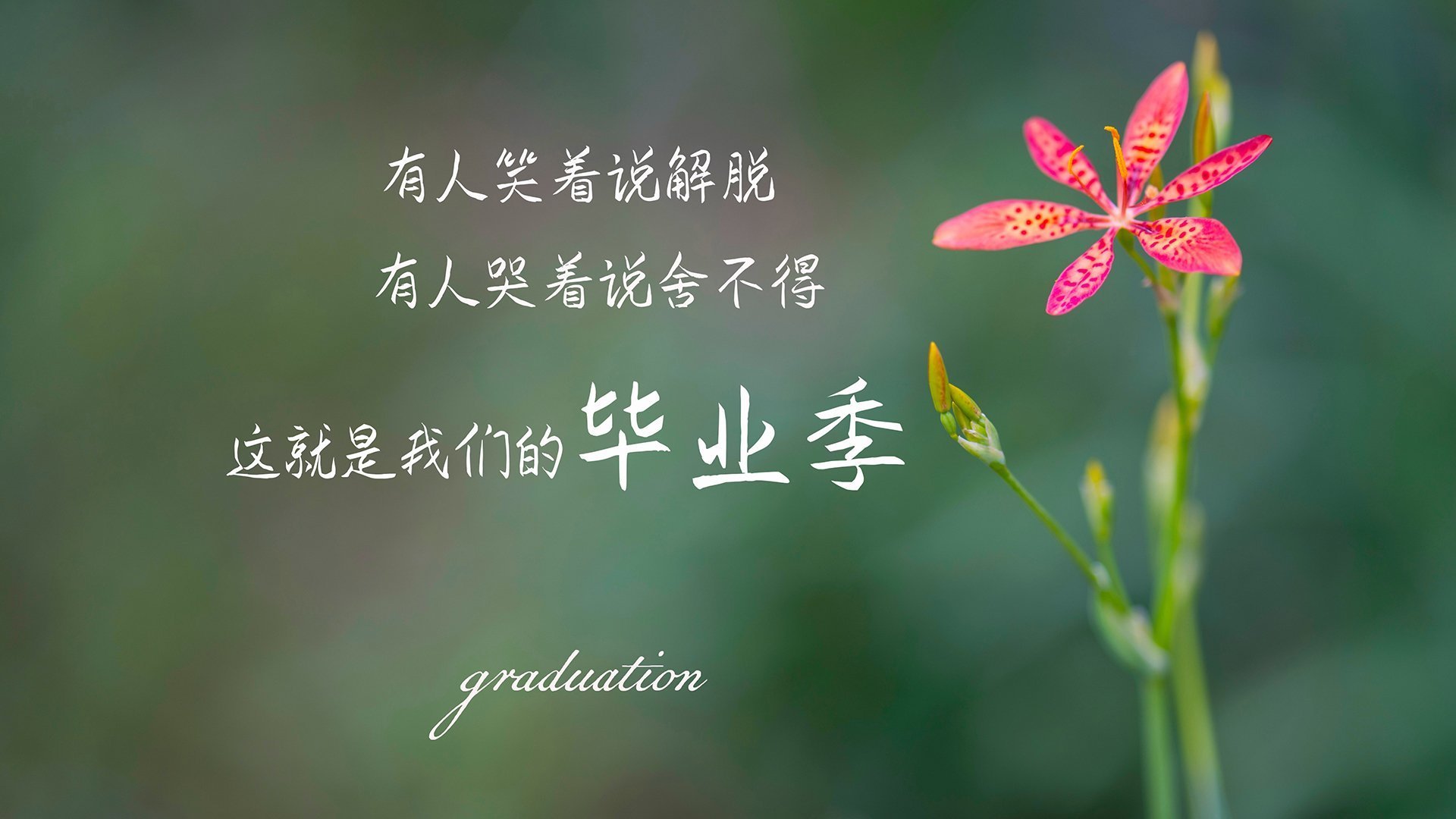 卢卡库天神下凡!独造三球助比利亚雷亚尔客场掀翻毕尔巴鄂