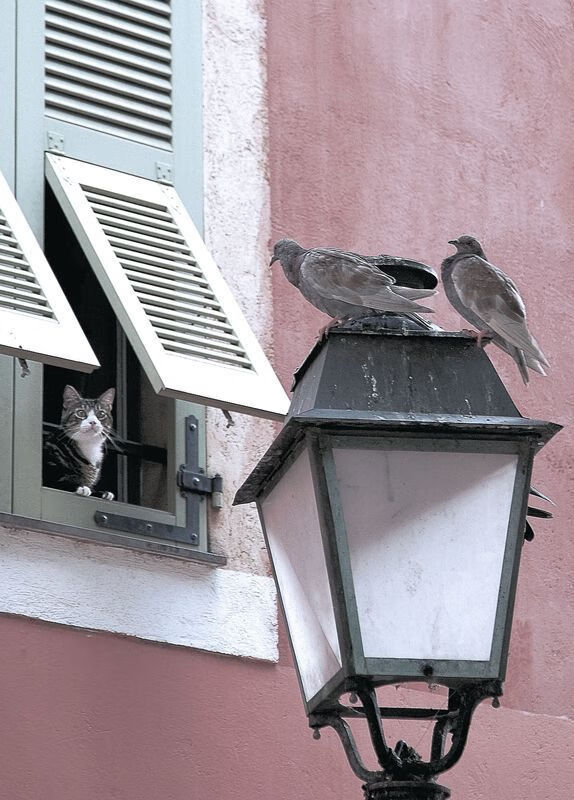 金年会集团-德甲争冠夜惊现外来的王！37岁莫德里奇以一敌众撕裂拜仁防线