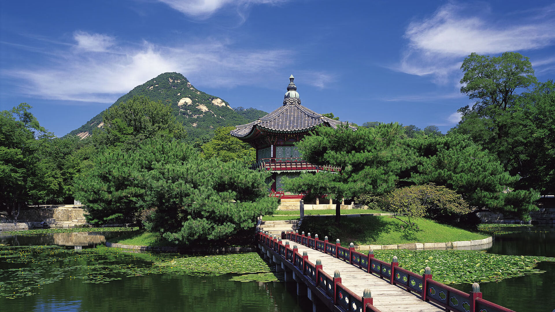 假若约基奇站在对面，独行侠与黄蜂的对决，映照一个无解的终极命题